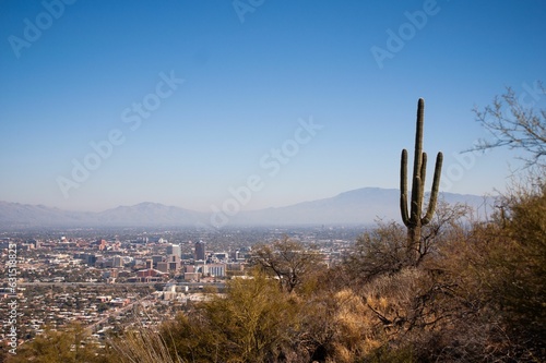 A single saguaro cactus stands overlooking downtown Tucson © Taylor Thoenes/Wirestock Creators