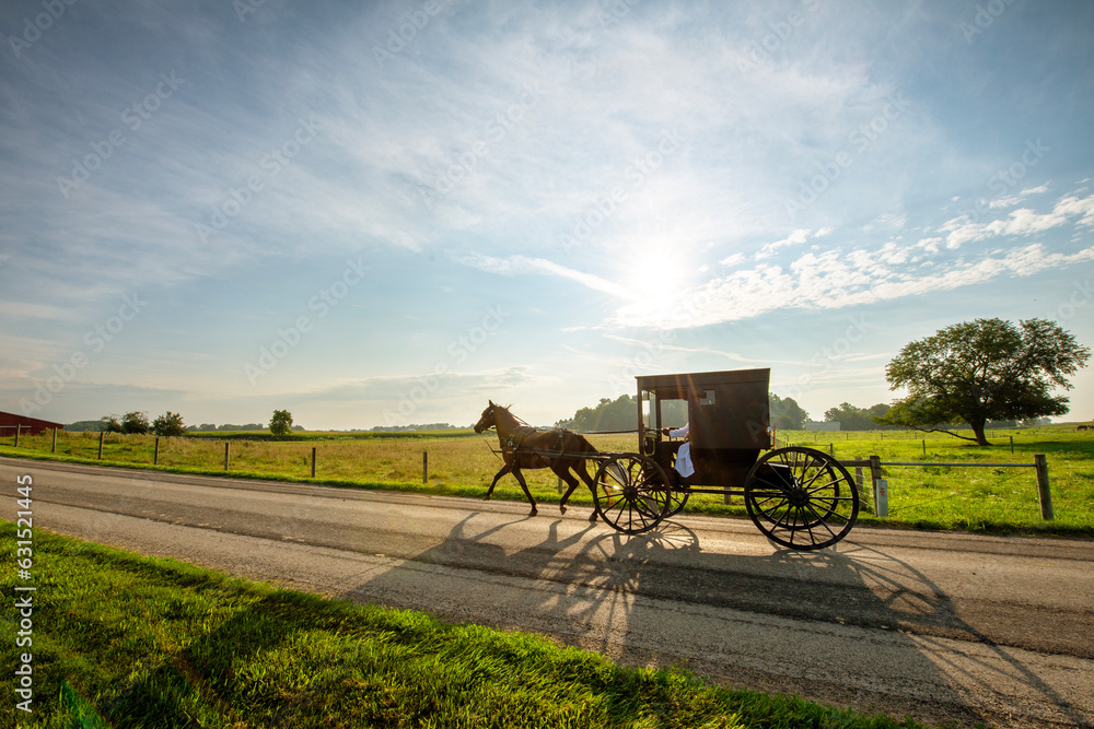 Amish horse and buggy in the early morning sun of summer. Amish horse and buggy in the early morning sun of summer.