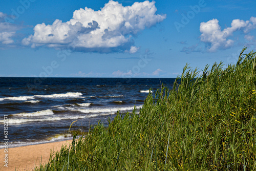 Baltic Sea contrasts. green  yellow and blue