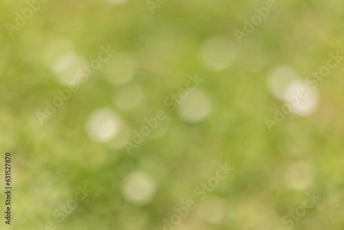 Abstract natural green and yellow blurred background