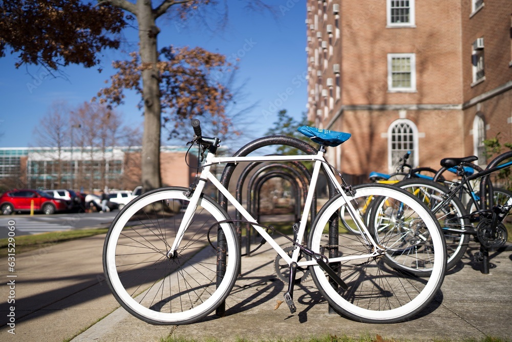 bicycle on campus