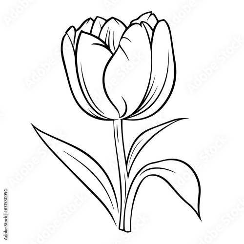 Tulip coloring pages Png