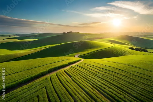 sunrise over the field