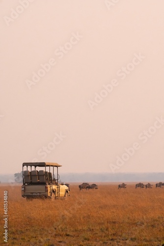 Dusty off-road vehicle parked in an open s  dry field in safari with buffalos grazing