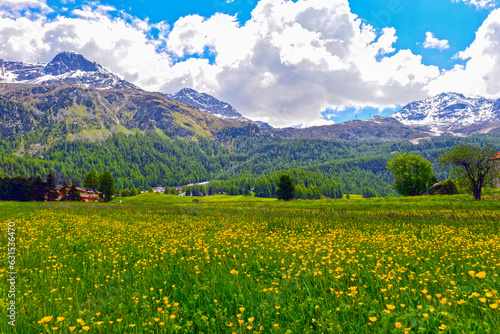 Blick auf die Bernina-Alpen im Schweizer Kanton Graubünden