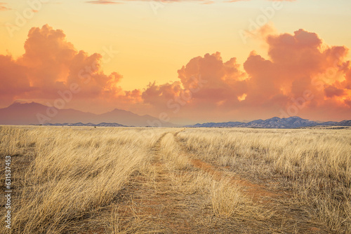 A dirt road leading off into the distance to mountains on the horizon at sunset.