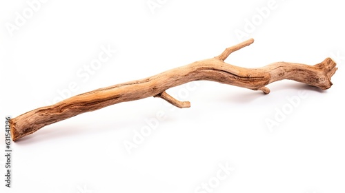 Isolated Broken Stick from Tree Branch with Wooden Bark on Nature Background. Generative AI