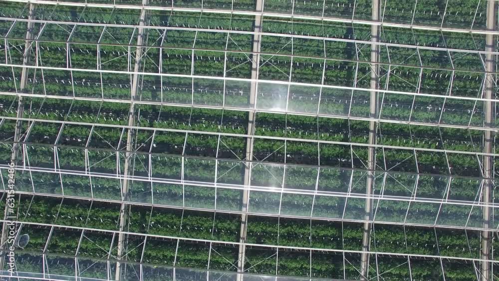 Top view of a big modern greenhouse on a sunny day Top view of a big modern greenhouse on a sunny day