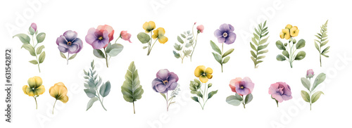 Watercolor pansy flowers bouquet collection. Vector viola spring floral set illustration. Summer bloom violet plant decoration elements
