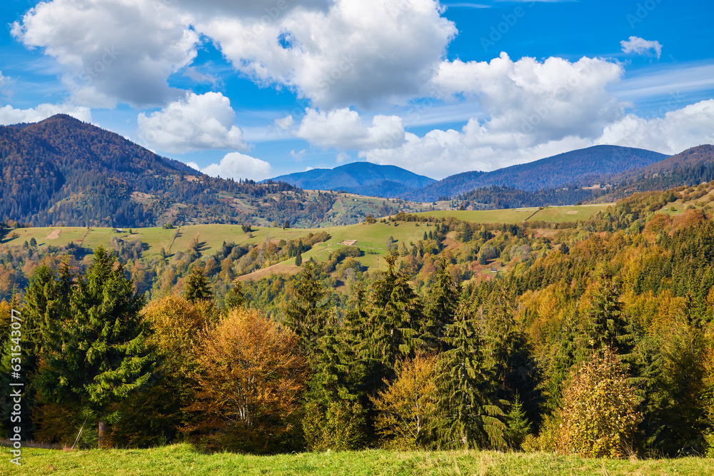 Serene Mountain Road Amidst Autumn Forest Serene Mountain Road Amidst Autumn Forest