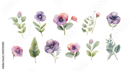 Watercolor vector set with pansies. Hand drawn by watercolors. Summer bloom violet plant decoration design elements. Vector