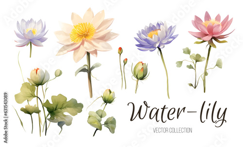 Water Lily Wedding Flower Clip Art Set - Watercolor Realistic Illustrations on White Background