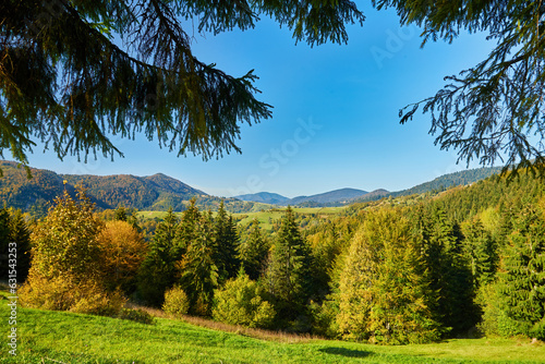 Fototapeta Naklejka Na Ścianę i Meble -  Enchanting Autumn Splendor: Majestic Carpathian Peaks Amidst a Colorful Tapestry