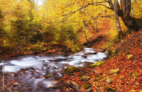 Enchanting Autumn River Amidst Narrow Mountain Gorge