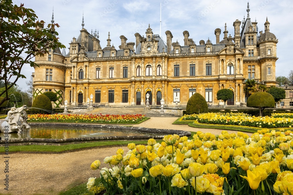 Majestic castle surrounded by yellow blooming tulips in the foreground