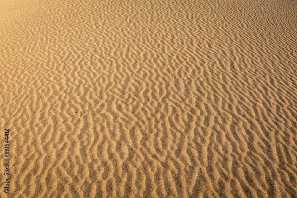 Vast expanse of desert sand, untouched and devoid of any human activity Vast expanse of desert sand, untouched and devoid of any human activity