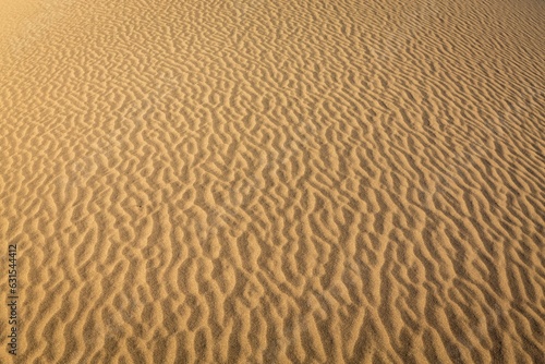 Vast expanse of desert sand, untouched and devoid of any human activity