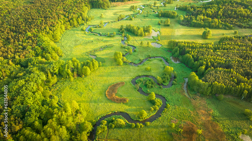 Fototapeta Naklejka Na Ścianę i Meble -  Natural river between the forest - aerial high view