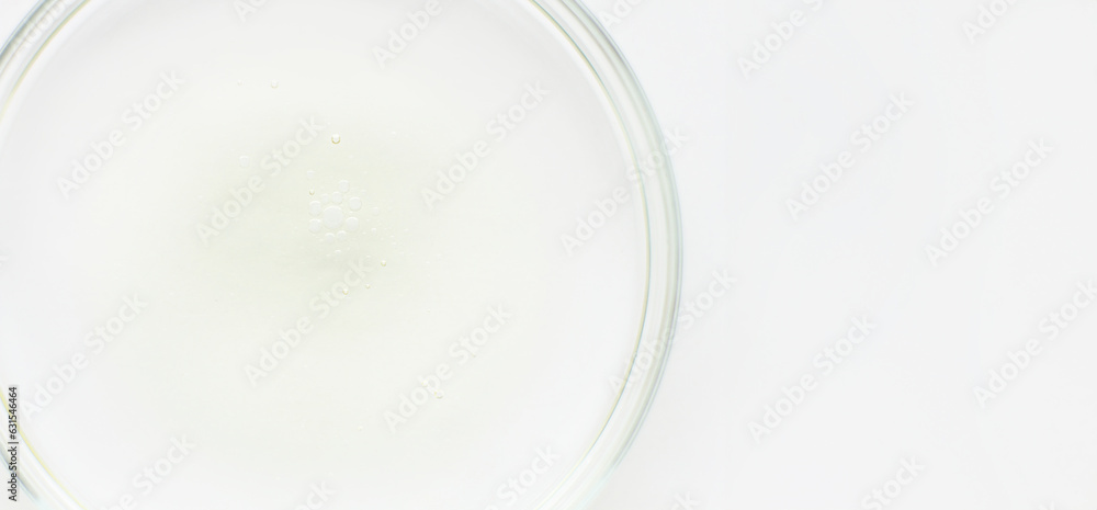 Petri dish with liquid and small bubbles on a light background Petri dish with liquid and small bubbles on a light background