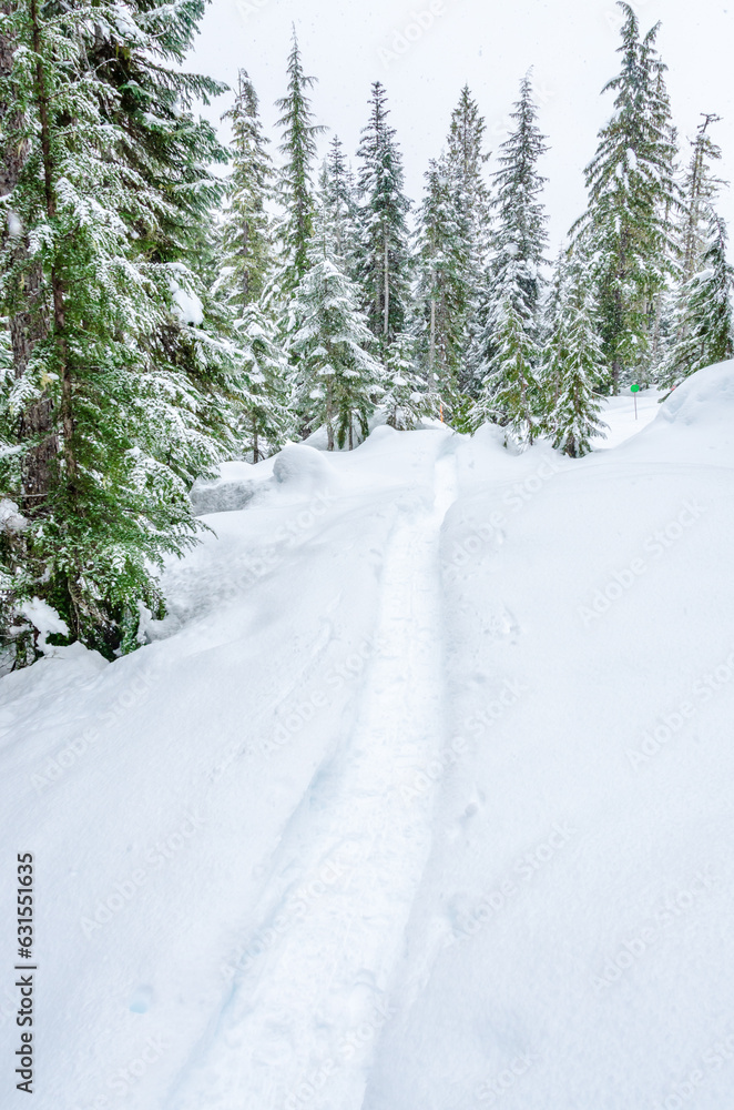Snow trail in park at winter day in Vancouver, Canada, North America. Day time on January 2023. Snow trail in park at winter day in Vancouver, Canada, North America. Day time on January 2023.