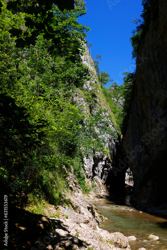 Cheile Rametului gorges wild natural park river area in Alba county, Transylvania, Romania, Europe