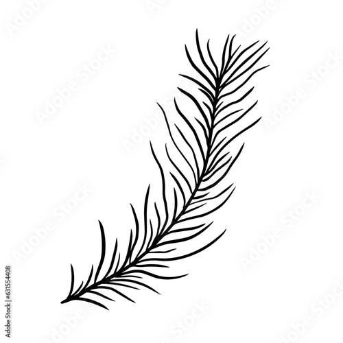 Hand drawn fern leaf. Doodle vector illustration