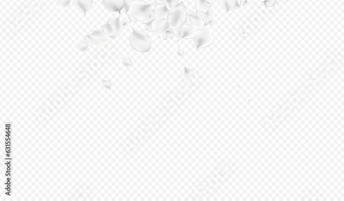 Pastel Rose Vector Transparent Background. White