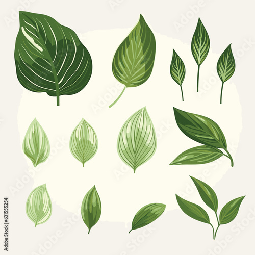 Set of vector illustrations featuring green tropical leaves of various shapes and sizes