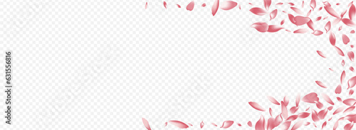 Purple Apple Vector Panoramic Transparent