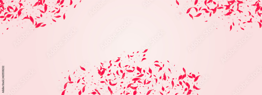 Carmine Lotus Vector Pink Panoramic Background.