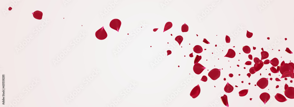 Red Petal Beauty Vector Panoramic White
