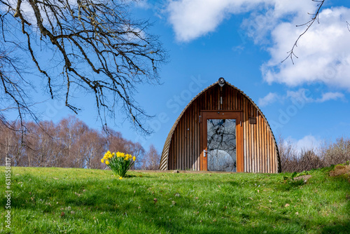 Glamping pod on a green meadow with blooming daffodils at Scottish highlands