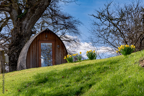 Glamping pod on a green meadow with blooming daffodils at Scottish highlands