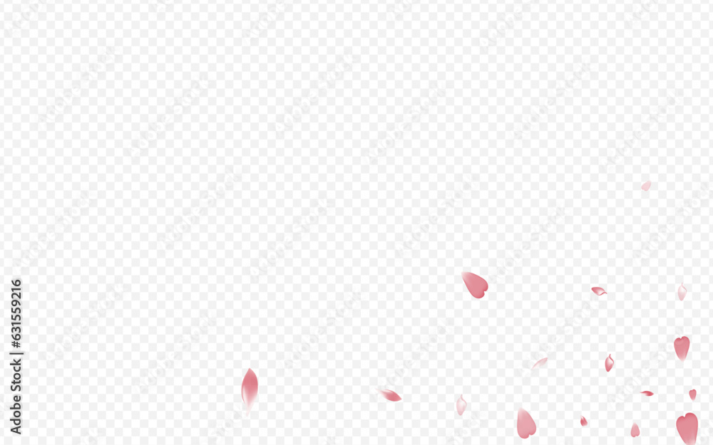 Pink Floral Vector Transparent Background. Cherry
