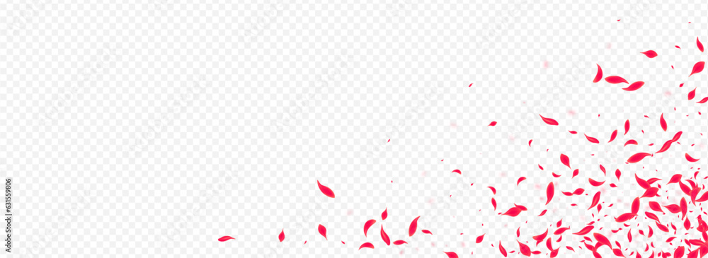 Pink Petal Vector Transparent Panoramic Pink Petal Vector Transparent Panoramic