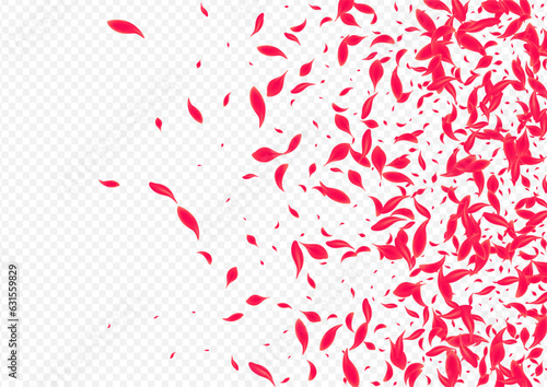 Beautiful Floral Vector Transparent Background.