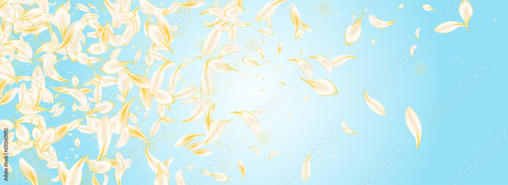 Delicate Sakura Spring Vector Panoramic Blue Delicate Sakura Spring Vector Panoramic Blue