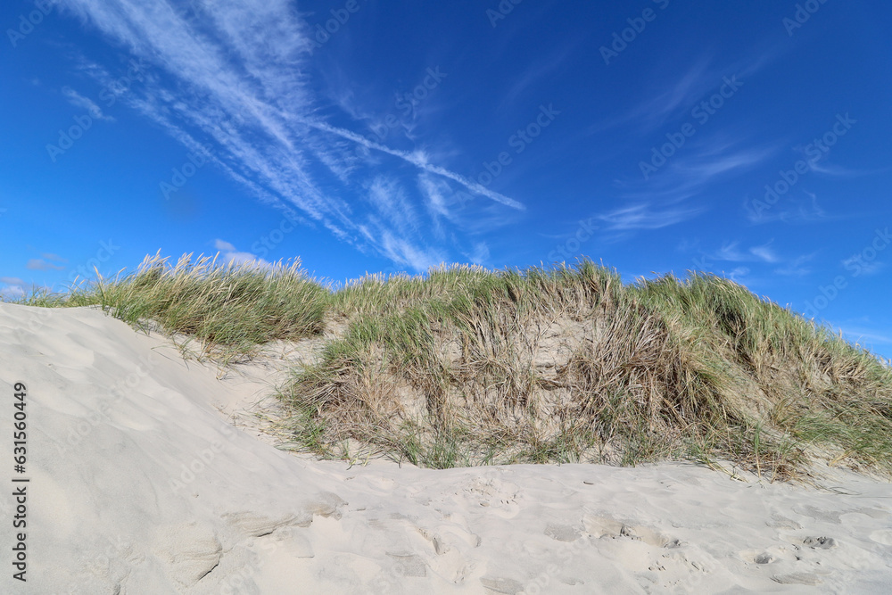 Dunes in the beautiful Danish landscape by the North Sea in North Jutland Dunes in the beautiful Danish landscape by the North Sea in North Jutland