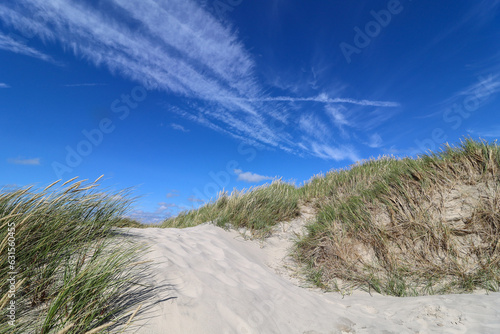 Dunes in the beautiful Danish landscape by the North Sea in North Jutland