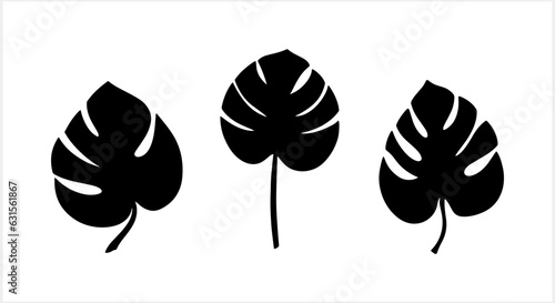 Doodle monstera leaf clipart isolated. Hand drawn stencil vector stock illustration. EPS 10