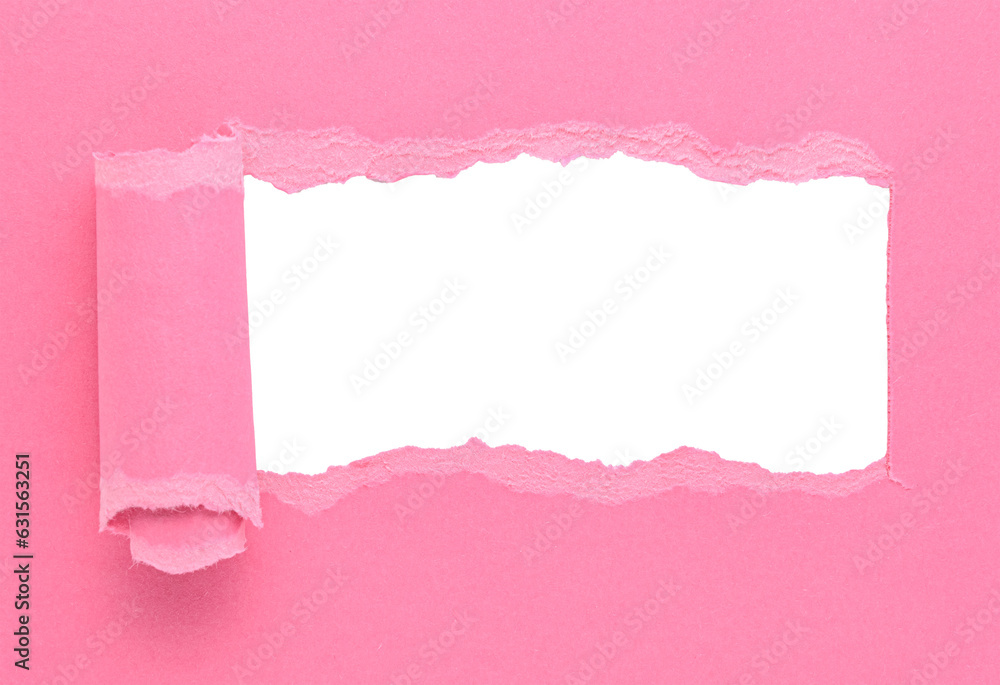 Pink torn curled rolled paper or cardboard message backdrop with rough edges and blank copy space for text, png template on transparent background 