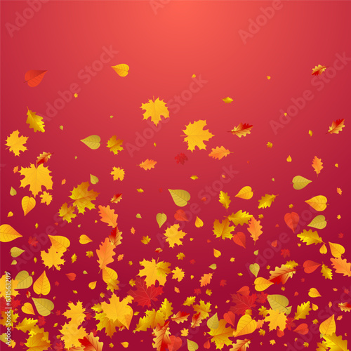 Brown Leaves Vector Red Background. November Leaf
