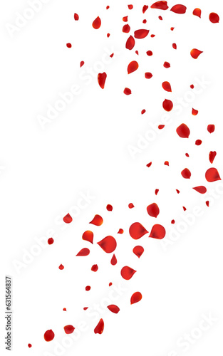 Red Flower Japan Vector White Background. Fly