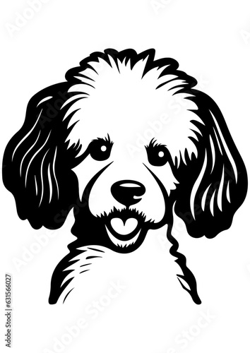 Vector illustration of a young poodle, poodle dog silhouette