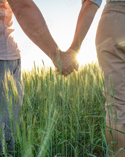 man and woman holding hands in wheat field  sunbeams  Young couple holding hands in the wheat field on sunny summer day