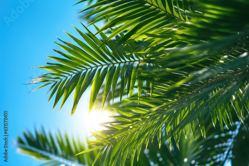 Green tropical palm leaves against a backdrop of bright summer blue sky and sunshine. Creative sunny summer tropical wallpaper.