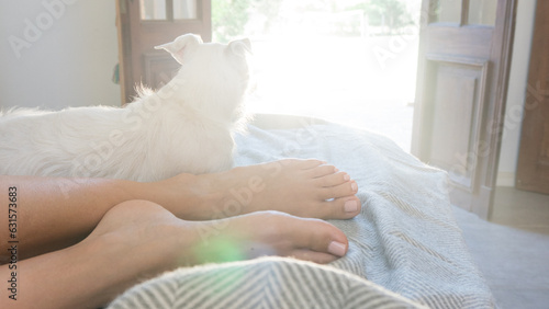 Woman and dog on the bed photo