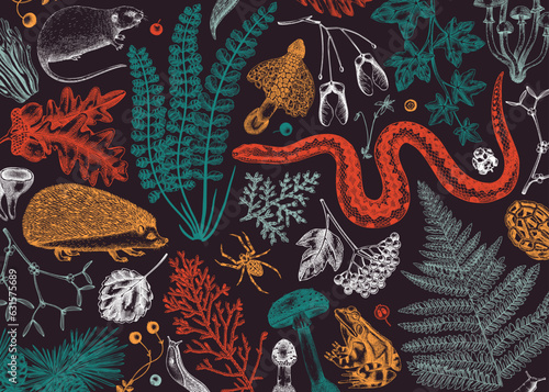 Vector banner with woodland animals, ferns, mushrooms, fall leaves and autumn plant sketch. Beautiful botanical design template in color. Hand drawn autumn forest background for print