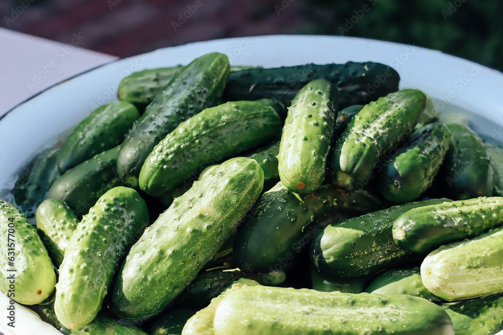 cucumbers in a glass bowl cucumbers in a glass bowl
