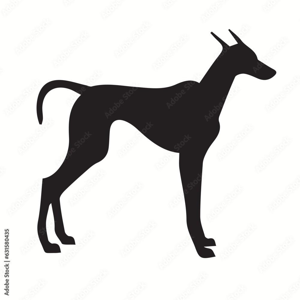 Obraz premium Whippet silhouettes and icons. black flat color simple elegant Whippet animal vector and illustration.